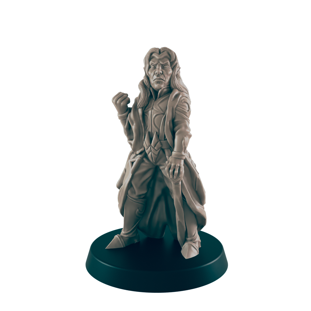 Elf Mini | Noble Royalty | Male Townsfolk NPC Figure | DnD Wargaming Mini | RPG Character | 32mm Scale Model | for Dungeons and Dragons, Pathfinder, etc.