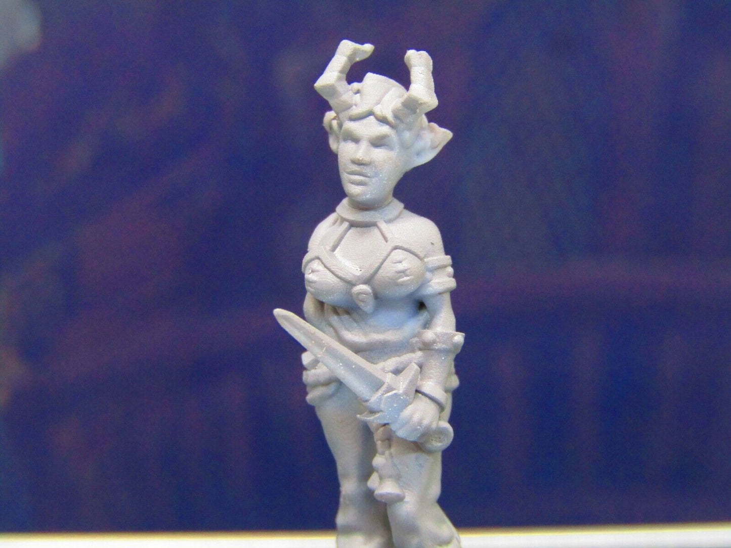 Demon Touched Female Pirate Dual Wielding Mini Miniature Figure 3D Printed Model