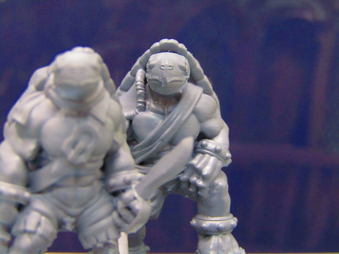 Tortle Pirate Pair Mini Miniature Figure 3D Printed Model 28/32mm Scale Fantasy