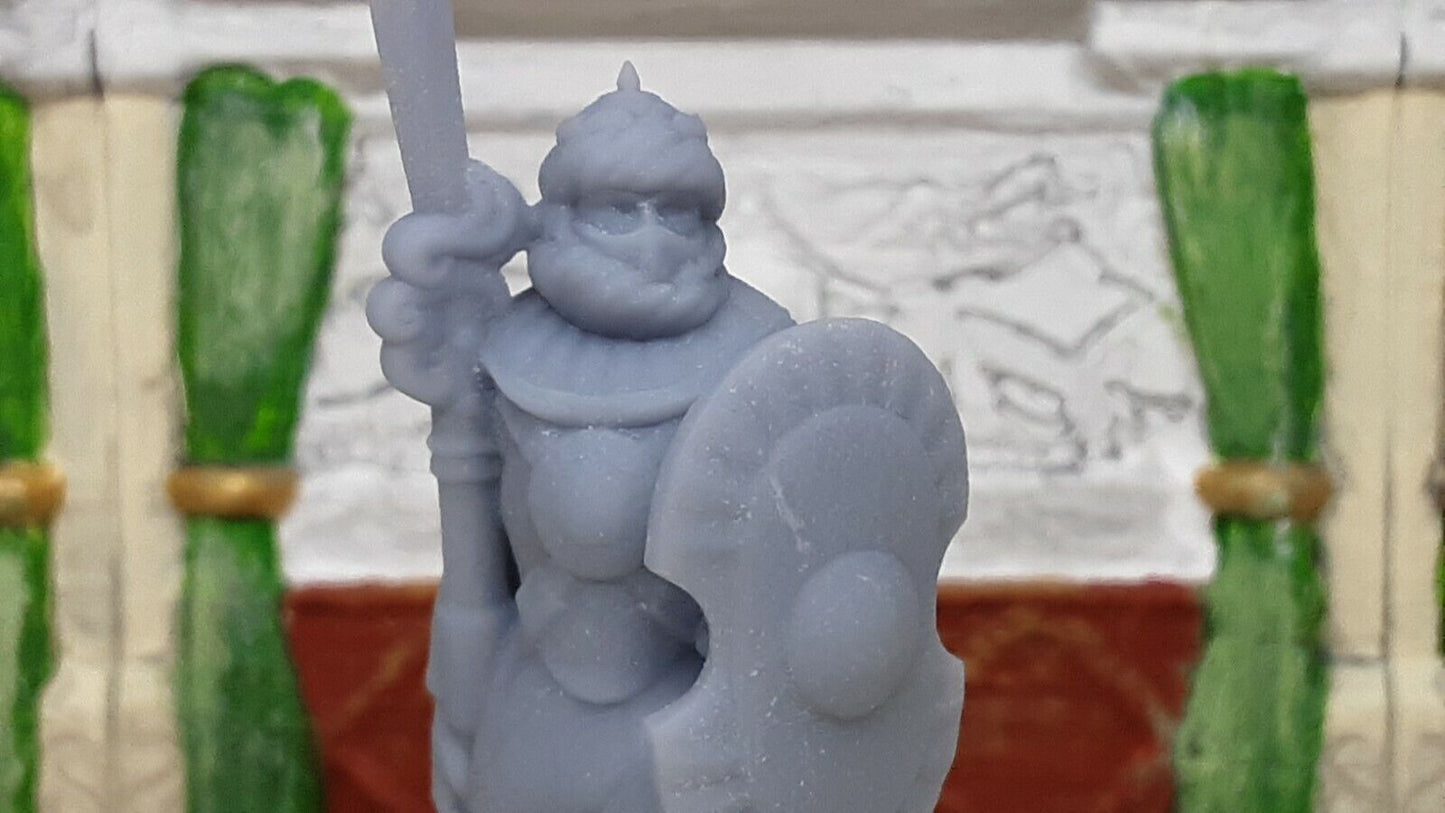 Palace Soldier Guard Fighter w Spear Mini Miniature Figure 28-32MM Resin Printed