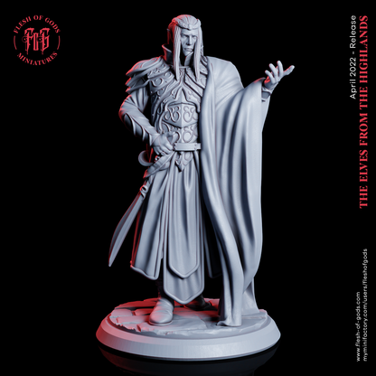 Highborn Elf Villain Mini Miniature Figure Model RPG Fantasy Games Dungeons & Dragons Tabletop Gaming