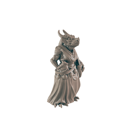 Dragonborn Mini | Market Patron Shopper | Female Townsfolk NPC Figure | DnD Wargaming Mini | RPG Character | 32mm Scale Model | for Dungeons and Dragons, Pathfinder, etc.