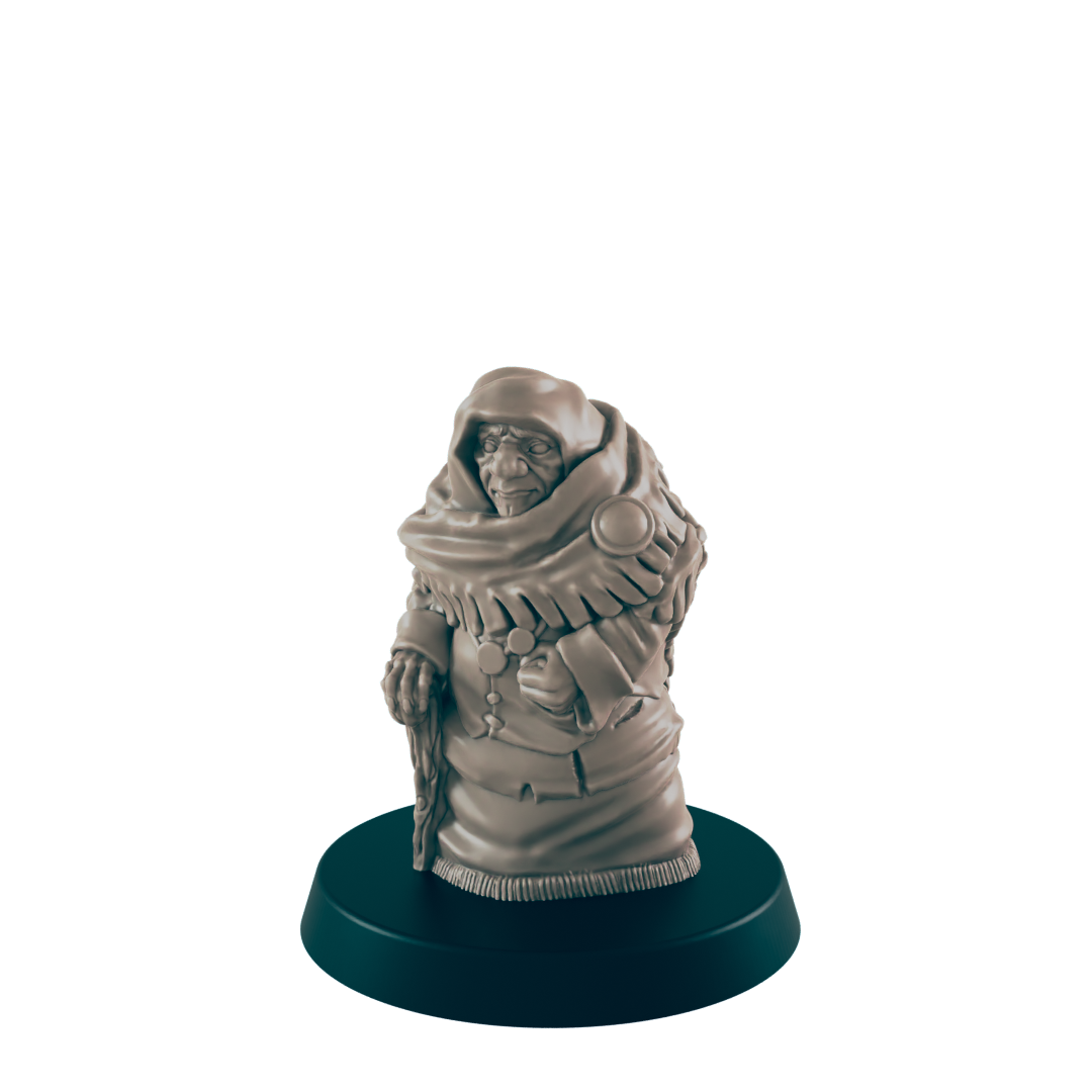 Human Mini | Wise Elder Grandmother | Female Townsfolk NPC Figure | DnD Wargaming Mini | RPG Character | 32mm Scale Model | for Dungeons and Dragons, Pathfinder, etc.