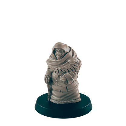 Human Mini | Wise Elder Grandmother | Female Townsfolk NPC Figure | DnD Wargaming Mini | RPG Character | 32mm Scale Model | for Dungeons and Dragons, Pathfinder, etc.