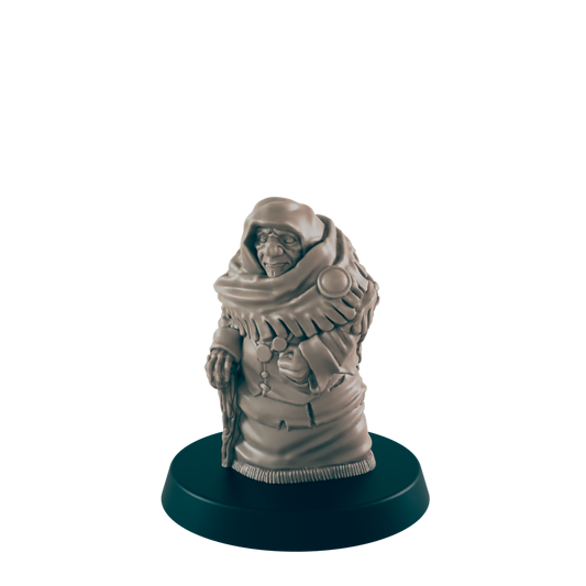 Human Mini | Wise Elder Grandmother | Female Townsfolk NPC Figure | DnD Wargaming Mini | RPG Character | 32mm Scale Model | for Dungeons and Dragons, Pathfinder, etc.