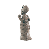 
              Human Mini | Noble Royalty | Female Townsfolk NPC Figure | DnD Wargaming Mini | RPG Character | 32mm Scale Model | for Dungeons and Dragons, Pathfinder, etc.
            