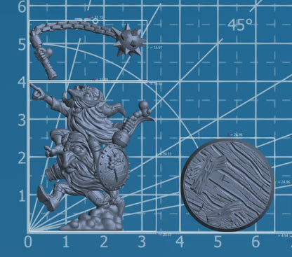 Gnish & Gnosh | Adventurer Hero Player Character | Mini Miniature Figure Scale Model | Dungeons & Dragons and other RPG Tabletop Games