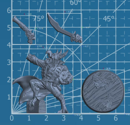 Gyros Shipwrecker | Adventurer Hero Player Character | Mini Miniature Figure Scale Model | Dungeons & Dragons and other RPG Tabletop Games