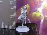 
              Female Monk Fighter Adventurer  Mini Miniature Model Character Figure 28mm/32mm
            