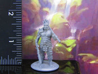 
              Demon Killer Slayer Human Fighter Mini Miniature Model Character Figure
            