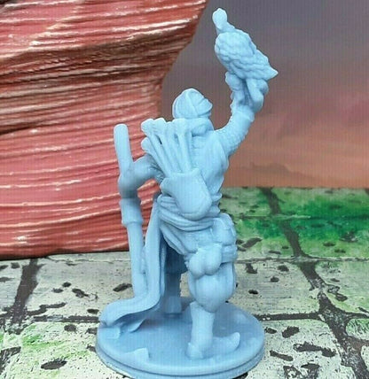 Male Ranger Hero Hawk Warrior Desert Themed Mini Miniature Figure RPG 3D Resin