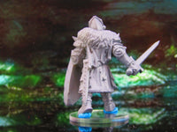 
              Undead Skeleton Rogue Soldier Mercenary D Mini Miniature Model Character Figure
            
