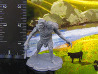 
              Character Minis Resin Fantasy Two Headed Troll Monster Encounter Mini Miniature
            