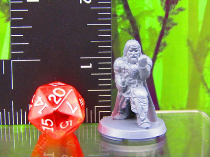 Town Guard Captain Leader Mini Miniatures 3D Printed Resin Model Figure 28/32mm