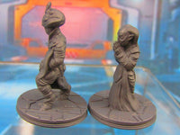 
              Alien Religous Zealot Priestess & Worshipper Mini Miniature 3D Printed Model
            