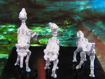 3pc Undead Skeletal Skeleton Horse Set Mini Miniature Model Character Figure