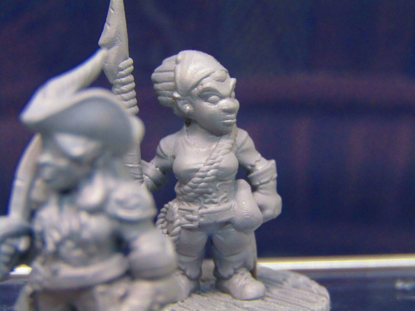 Gnome Female Pirate Captain / First Mate Mini Miniature Figure 3D Printed Model