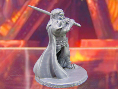 Dark Elf Male Caped Warrior Mini Miniature Figure 3D Printed Model 28/32mm Scale