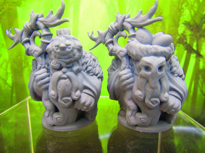 Pair of Crazy Wildman Recluse Dwarf Druids Mini Miniature 3D Printed Model