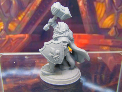 Dwarven Female Warrior Adventurer Mini Miniatures 3D Printed Model 28/32mm