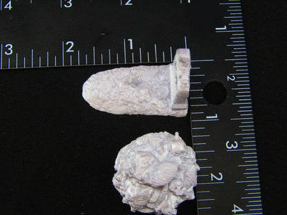 7pc Disturbed Graves and Bonepiles Graveyard Cemetery Scatter Terrain Scenery