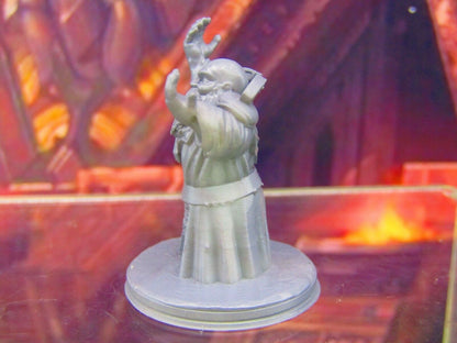 Gray Dwarf Cleric Summoner Wizard Sorcerer Mini Miniature Figure 3D Printed
