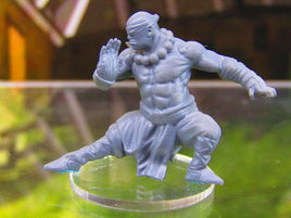 Monk Fighter Pose A Mini Miniature Figure 3D Printed Model 28/32mm Scale RPG