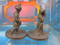 
              Alien Religous Zealot Priestess & Worshipper Mini Miniature 3D Printed Model
            