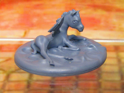 Baby Pegasus Pony Monster Companion Mini Miniatures 3D Printed Model 28/32mm