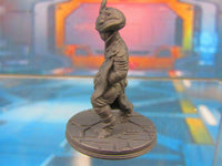 
              Alien Religous Zealot Priestess Mini Miniature 3D Printed Model 28/32mm Scale
            