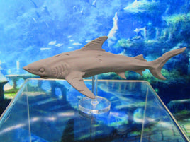 Scarred Battleworn Underwater Shark With Rod & Stand Mini Miniature 3D Printed