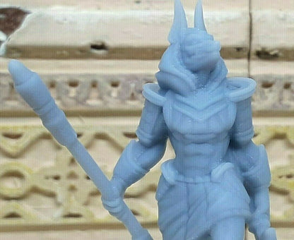 Egyptian Anubis Warrior Pair Mini Miniature Figure 28/32mm D&D 3D Printed Resin