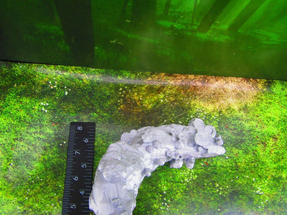 Mushroom Forest Shroomie Myconid Village Grotto Entry Scatter Terrain Scenery