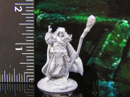 Male Necromancer Pair Mini Miniature Model Character Figure 28mm/32mm Scale