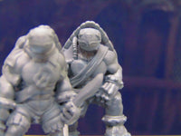
              Tortle Pirate Pair Mini Miniature Figure 3D Printed Model 28/32mm Scale Fantasy
            