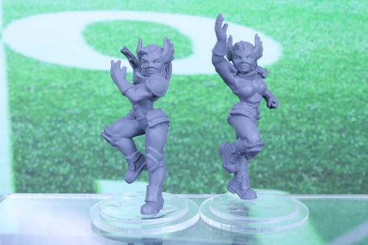2PC Unicorn Warrior Catcher Mini Player RPG Tabletop Blood Fantasy Football Bowl