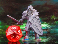 
              Undead Skeleton Rogue Soldier Mercenary D Mini Miniature Model Character Figure
            