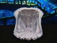 
              Mermaid Nest Clam Shell Scatter Terrain Scenery 3D Printed Mini Miniature Model
            