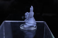 
              White Rabbit Alice in Wonderland Mini RPG Tabletop Gaming Wargaming D&D Fantasy
            