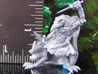 
              Corvian Skeletal Raven Crow Birdman Daggers B Mini Miniature Model Character
            