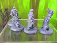 
              4pc Vampire Royals & Thralls Set Mini Miniatures 3D Printed Resin Model Figure
            