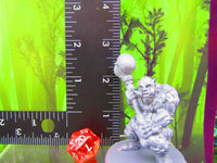 
              Large Female / Male Troll Pair Mini Miniatures 3D Printed Resin Model Figure
            