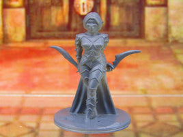 Dark Elf Female Warrior Dual Wielding Mini Miniature Figure 3D Printed Model
