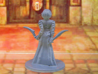 
              Dark Elf Female Warrior Dual Wielding Mini Miniature Figure 3D Printed Model
            