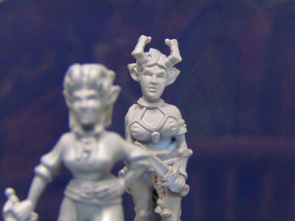 Demon Touched Female Pirate Pair Mini Miniature Figure 3D Printed Model 28/32mm