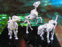 
              3pc Undead Skeletal Skeleton Horse Set Mini Miniature Model Character Figure
            