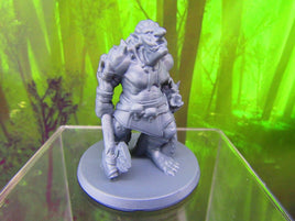 Large Female Troll Mini Miniatures 3D Printed Resin Model Figure 28/32mm Scale
