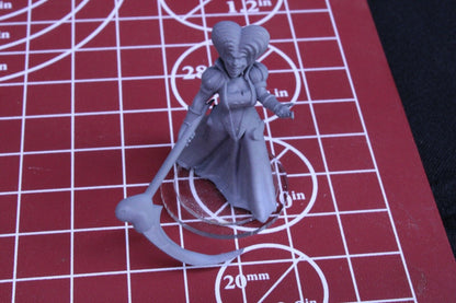 Queen of Hearts Alice in Wonderland Mini Model Scale RPG Tabletop Gaming D&D