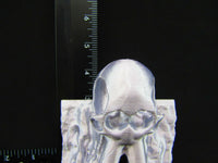 
              Mammoth Skull Cave Entrance Scatter Terrain Scenery 3D Printed Mini Miniature
            