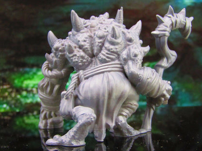 Slaad Frogman Frogfolk Shaman Mini Miniature Model Character Figure